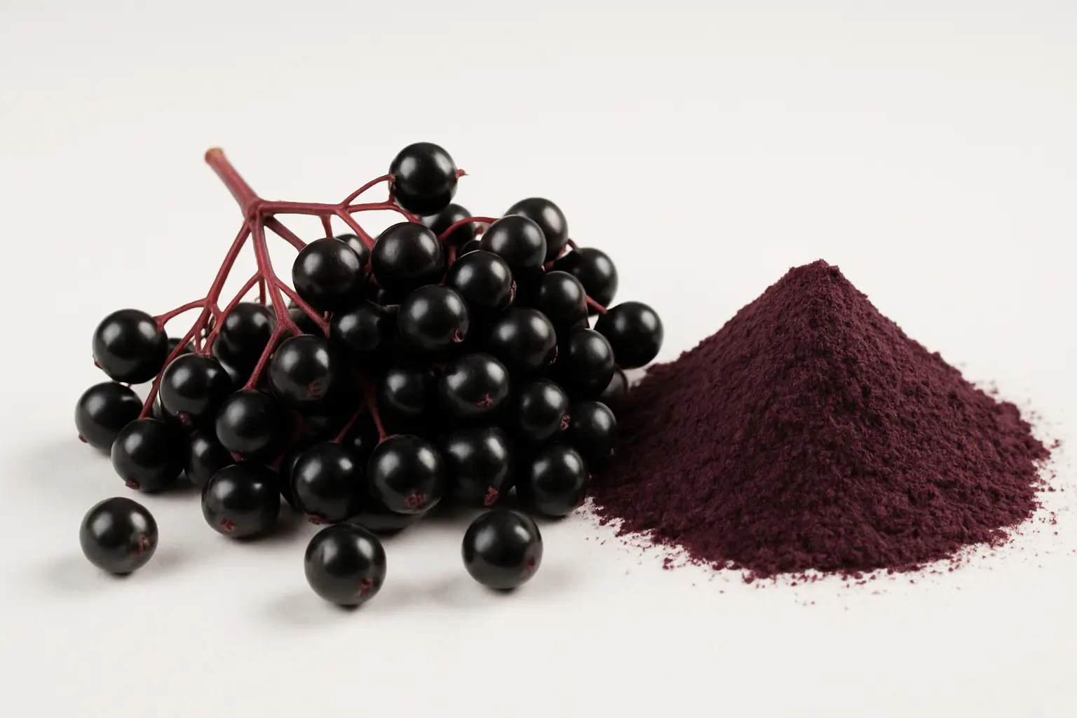 Elderberry Extract